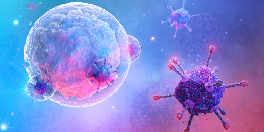 Copyright © Adobe Stock