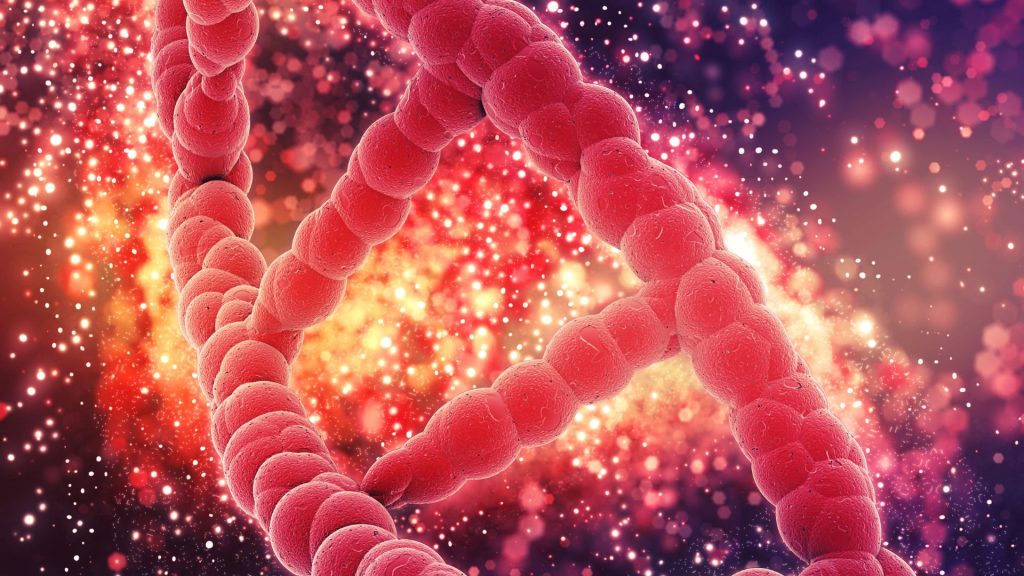 Quatre projets pour explorer de nouvelles voies thérapeutiques